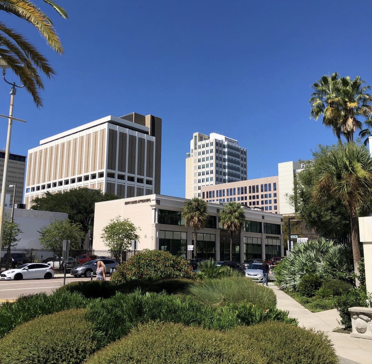 Office buildings, high-rises and palm trees along a sunny street in downtown Tampa